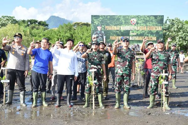 BaliPortalNews_ Tanam Tanam