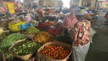 Harga Cabai di Karangasem Melonjak Hingga Rp120 Ribu per Kilogram Cabai