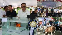 Rangkaian HUT ke-237, Pemkot Denpasar Gelar Weekend Dog Festival dan Kontes Ikan Mas Koki Bali HUT Kota Denpasar