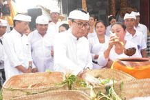 Wawali Arya Wibawa Hadiri Upacara Ngingsah Serangkaian Karya di Pura Dalem Pejarakan Ulun Lencana Upacara Ngingsah