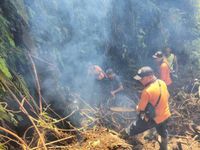 BPBD Tabanan Tangani Pohon Tumbang dan Tanah Longsor di Petiga Petiga
