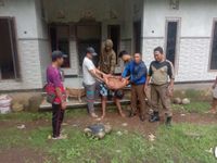 Ngamuk Bawa Sabit, Penangkapan IGS Diwarnai Aksi Kejar-Kejaran dengan Satpol PP Tangkap ODGJ