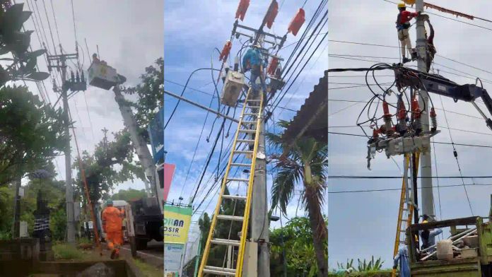 Petugas PLN