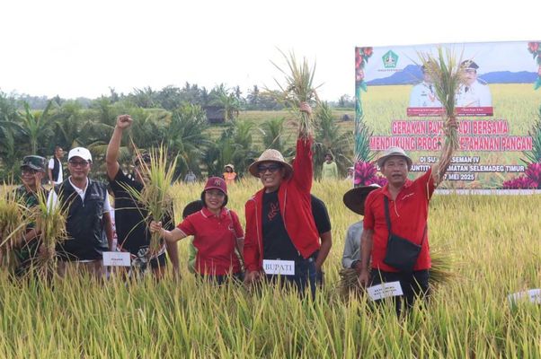 Panen Raya