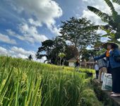 Desa Energi Berdikari Keliki dan UMKM Binaan Pertamina Tarik Perhatian Internasional Keliki