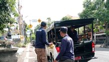 Satpol PP Denpasar Tertibkan Baliho, Spanduk, Banner, Umbul-Umbul dan Pamflet di Beberapa Titik Fasum Satpol PP Denpasar
