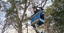 Cegah Kriminalitas, Pemkot Denpasar Ganti Lampu Penerangan Jalan Dengan LED Ganti Lampu Penerangan Jalan