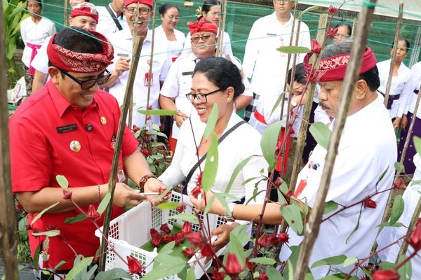 Bupati Ngantor di Desa