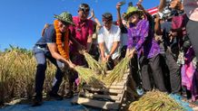Wabup Supriatna Terus Dorong Upaya Pangan Lokal Berkelanjutan di Kabupaten Buleleng Upaya Pangan Lokal Berkelanjutan