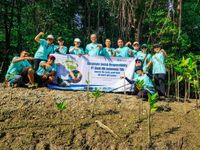 Bank IBK Indonesia KC Denpasar Tanam 2.000 Bibit Mangrove di Ekowisata Batu Lumbang Bank IBK Indonesia KC Denpasar