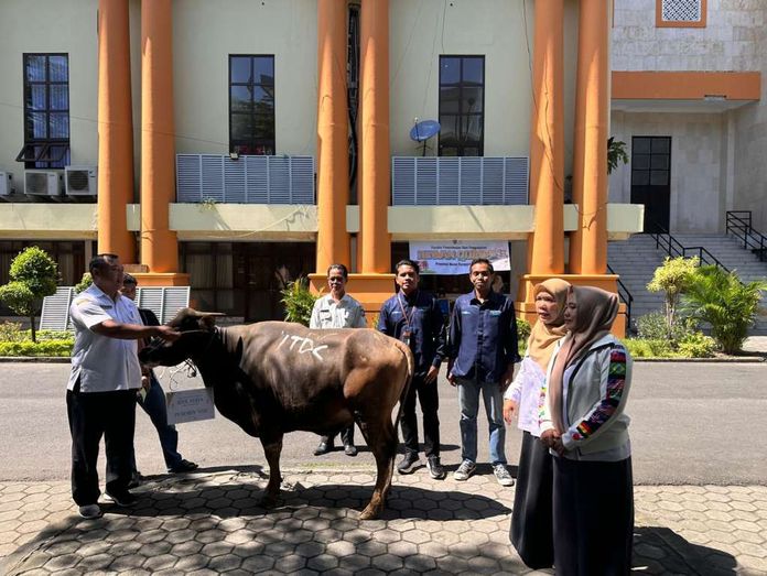 Kurban