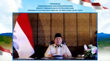 47 PLTS Diresmikan Presiden, 5.383 Rumah Tangga di Wilayah 3T Kini Nikmati Listrik Bersih Presiden