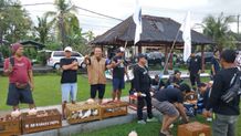 Komunitas Merpati Tabanan Lepasliarkan 500 Ekor Merpati Komunitas Merpati Tabanan