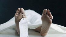 Ikuti Ayah Bekerja, Anak 9 Tahun Ditemukan Meninggal Dunia di Tambak Udang Ilustrasi