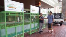 PLN Dukung Edukasi Pengelolaan Sampah Sejak Dini, Dorong Perubahan dari Sekolah di Bali PLN