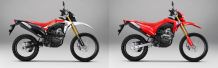 New CRF 150L Hadir di GIIAS 2025 dengan Penyegaran Terbaru New CRF 150L