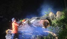 Gerak Cepat, BPBD Tabanan Tangani Dampak Banjir dan Pohon Tumbang Akibat Hujan Deras Dampak Hujan Deras