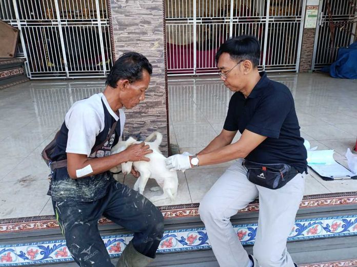 Vaksinasi Rabies Vaksinasi Rabies