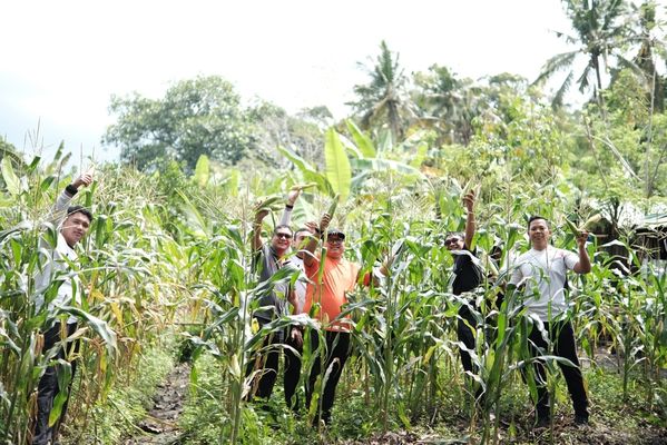 SAE Kebun Lapas Tabanan