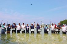 Insan Astra Wujudkan Donasi Healthy Life Challenge melalui Aksi Relawan di Kampung Berseri Astra Pulau Pramuka Astra