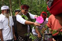Bupati Sanjaya Pimpin Aksi Penghijauan dan Peresmian Teba Modern di Kawasan Pura Luhur Batukau Penghijauan