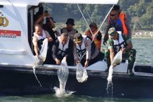 Ribuan Ikan Kembali Ditebar di Danau Batur Ikan