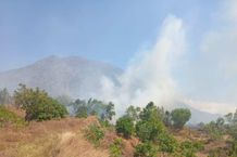 Kebakaran Lahan di Desa Dukuh Mengancam Permukiman, Damkar Kerahkan 4 Armada Kebakaran