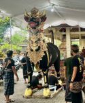 Prosesi Pelebon Ibunda Wali Kota Jaya Negara Digelar 4 Agustus Lembu Hitam