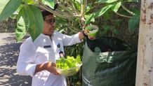 Komposter Bag, Solusi Praktis Atasi Sampah Organik di Rumah dengan Lahan Terbatas Sampah Organik