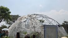 Nuanu Creative City Lepasliarkan 5.000 Kupu-Kupu Asli Bali, Catat Sejarah Ekologis Baru Lepasliarkan 5.000 Kupu-Kupu