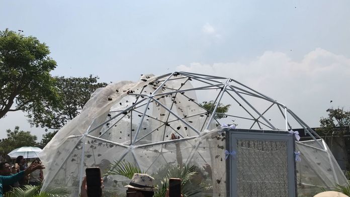 Lepasliarkan 5.000 Kupu-Kupu