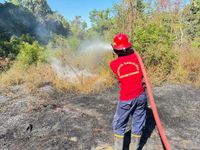 Lonjakan Kebakaran Lahan, Damkar Karangasem Tarik Personel Selat ke Kubu Lonjakan Kebakaran Lahan, Damkar Karangasem Tarik Personel Selat ke Kubu