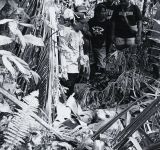 Pria Asal Kintamani Tewas Terjatuh Saat Potong Pohon Albasia di Gegelang Pria Asal Kintamani Tewas Terjatuh Saat Potong Pohon Albasia di Gegelang