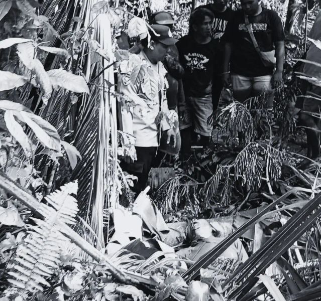 Pria Asal Kintamani Tewas Terjatuh Saat Potong Pohon Albasia di Gegelang