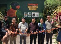 Taman Safari Bali Resmikan Lorikeet Breeding Center, Jadi Pusat Pelestarian Perkici Dada Merah Peresmian Lorikeet Breeding Center