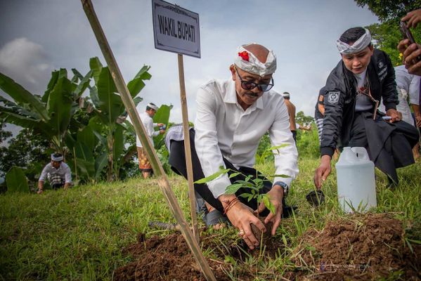 Bangli Hijau di Hari Tumpek Wariga, Wakil Bupati Pimpin Aksi Tanam Pohon dan Bersih-Bersih Lingkungan