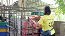 ITDC Terapkan Prinsip ESG dan Ekonomi Sirkuler Lewat “Integrated Food Surplus Program” di MotoGP Mandalika 2025 ESG