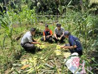 Dukung Ketahanan Pangan dan UMKM, SAE Lapas Tabanan Terus Tumbuh Produktif Dukung Ketahanan Pangan dan UMKM, SAE Lapas Tabanan Terus Tumbuh Produktif
