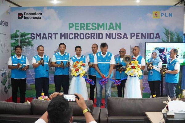 PLN