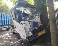 Sopir Truk Tabrak Pohon hingga Kendaraan Ringsek di Sengkidu Sopir Truk Tabrak Pohon hingga Kendaraan Ringsek di Sengkidu