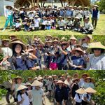 Kolaborasi Forum Maritim Bali dan Jalasenastri Lanal Denpasar, Anak-anak Bali Tanam Harapan Lewat Mangrove Forum Maritim Bali