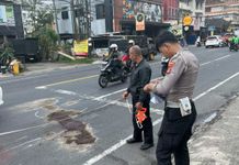 Lakalantas di Abiantuwung, Pemotor Tewas Terlindas Truk Tronton Lakalantas di Abiantuwung, Pemotor Tewas Terlindas Truk Tronton