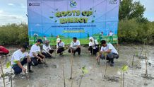 PLN UP2D Bali Berpartisipasi Aktif Perkuat Ekosistem Mangrove Benoa PLN UP2D Bali Berpartisipasi Aktif Perkuat Ekosistem Mangrove Benoa