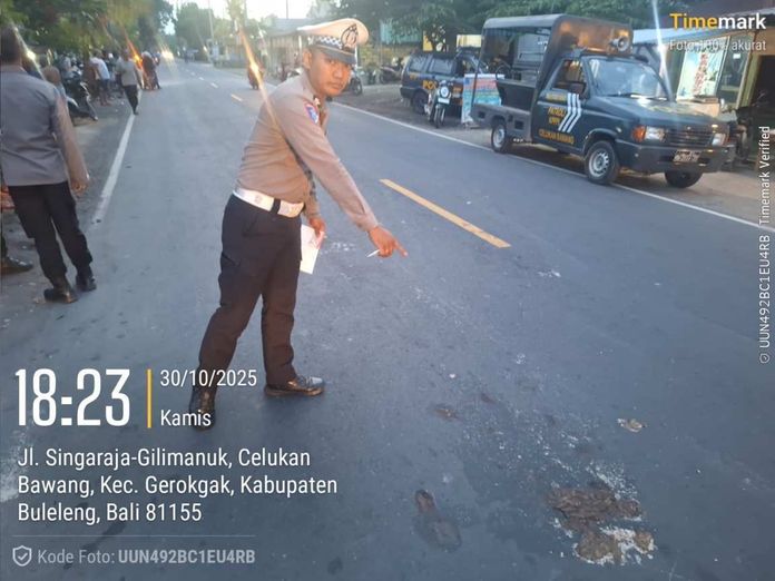Polisi saat melaksanakan olah TKP Lakalantas di Jalan Singaraja - Gilimanuk tepatnya di Kilometer 31.400 Banjar Dinas Berongbong, Desa Celukan Bawang, Kecamatan Gerokgak, Buleleng. Sumber Foto : Istimewa