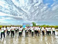 Hari Menanam Pohon Indonesia, PLN Bersama Rakyat Gerakkan Penanaman Mangrove di Benoa Mengusung tema Roots of energy, relawan yang tergabung dalam PLN Grup Bali 1 bersama stakeholder terkait , nelayan dan masyarakat sekitar melaksanakan kegiatan menanam mangrove pada peringatan Hari Menanam Pohon Indonesia (HMPI) 2025, yang dipusatkan di kawasan Mangrove arboretum park, Benoa (28/11/2025). Sumber Foto : Istimewa