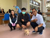 Disperpa Badung Gelar Sterilisasi dan Vaksinasi Rabies Gratis, Kuota Langsung Penuh Disperpa Badung Gelar Sterilisasi dan Vaksinasi Rabies Gratis, Kuota Langsung Penuh