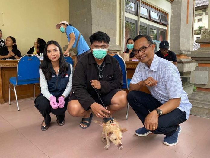 BaliPortalNews_ Vaksin dan Steril Disperpa Badung Gelar Sterilisasi dan Vaksinasi Rabies Gratis, Kuota Langsung Penuh