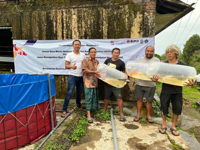BaliPortalNews_ ikan koi galungan Universitas Udayana Kembangkan Desa Wisata Galungan Berbasis Akuakultur Ikan Koi