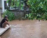 Hujan Lebat Picu Banjir di Gegelang, Antiga dan Antiga Kelod Hujan Lebat Picu Banjir di Gegelang, Antiga dan Antiga Kelod