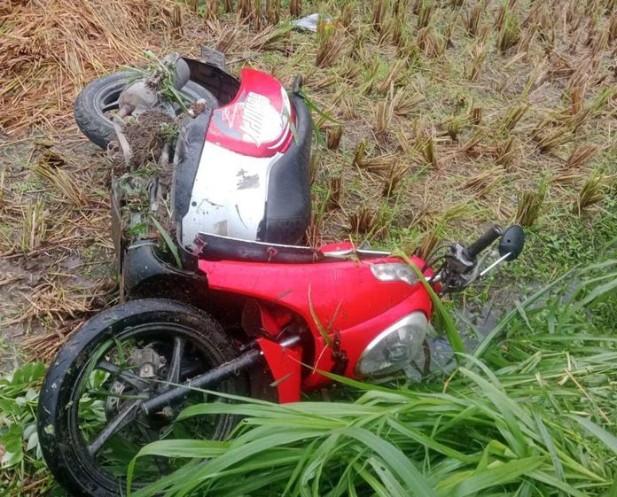 Gagal Menyalip, Pemotor Scoopy Terperosok ke Sawah di Bebandem